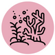 reef friendly icon